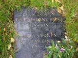 image of grave number 919770
